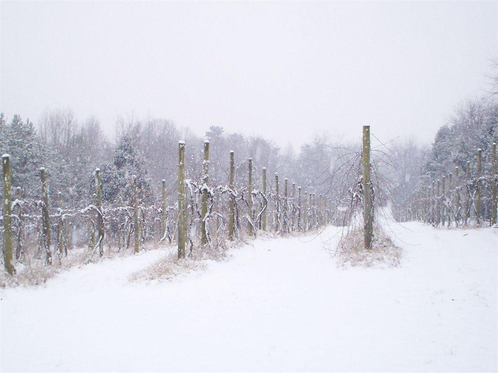 High Meadows Vineyard Inn Scottsville 외부 사진